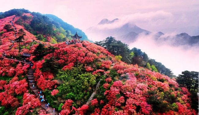 文旅融合的麻城之“道”(图1) 文旅融合的麻城之“道”(图1)