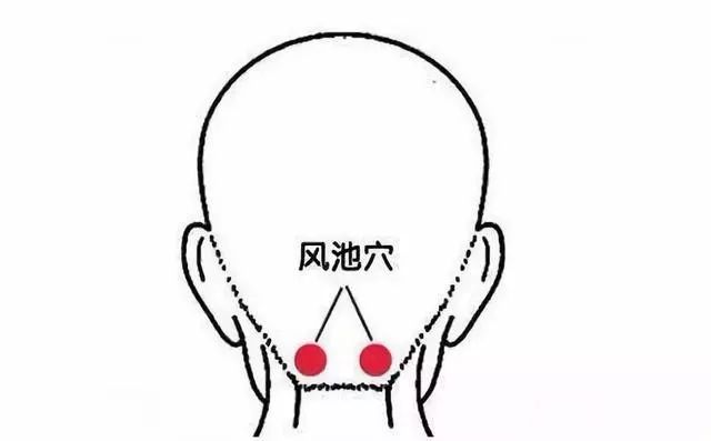 节气养生丨处暑至，季节交替时，学点规矩保健康(图3)