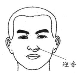 节气养生丨处暑至，季节交替时，学点规矩保健康(图4)