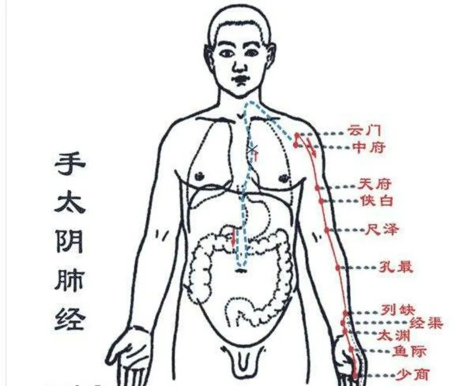 节气养生丨立秋至，季节转换凉风起，学点规矩保健康(图1)