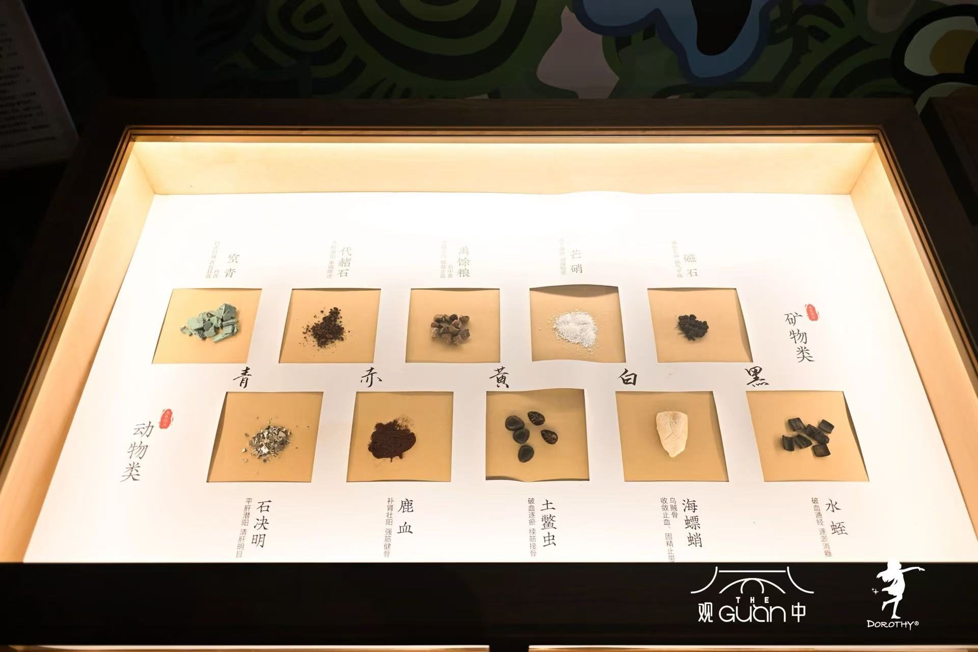艺术与国医对话：“草木间——中轴国医之多萝西仙草精灵艺术展”首展开幕(图7)