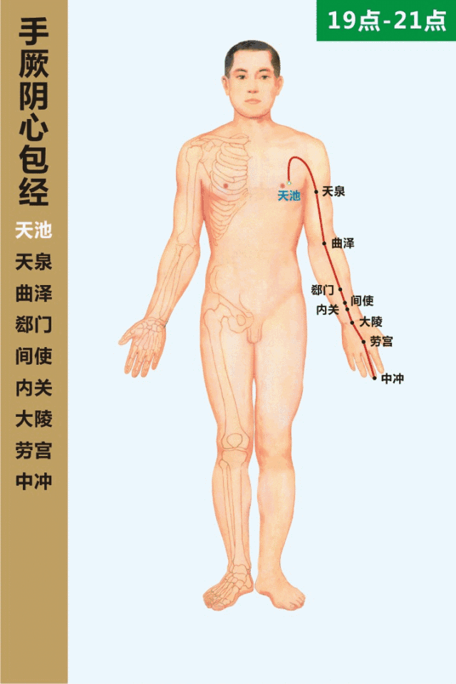十四经络动态循行图（收藏版）(图41)