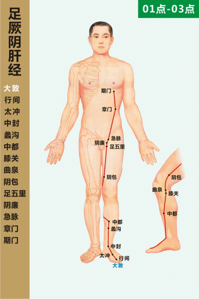 十四经络动态循行图（收藏版）(图53)
