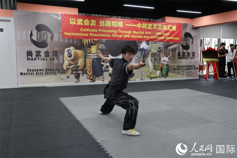 中华武术国际文化推广交流活动在迪拜举办