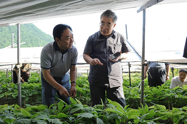 张伯礼：传扬国医大道 护佑人民健康(图5)
